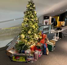 Fondation rugby club toulonnais à Toulon